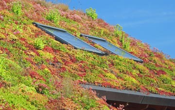 Ketteringham living roof systems